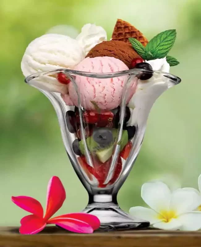 بستنی خوری 2عددی پاشاباغچه کد 51078