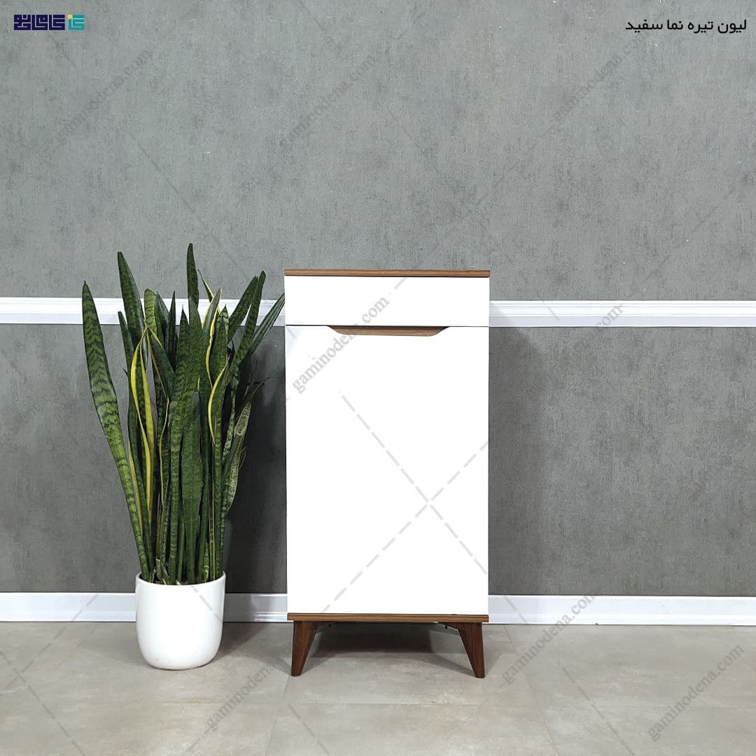 جاکفشی مدرن آپارتمانی ونیز ۵۰ — تصویر ۷