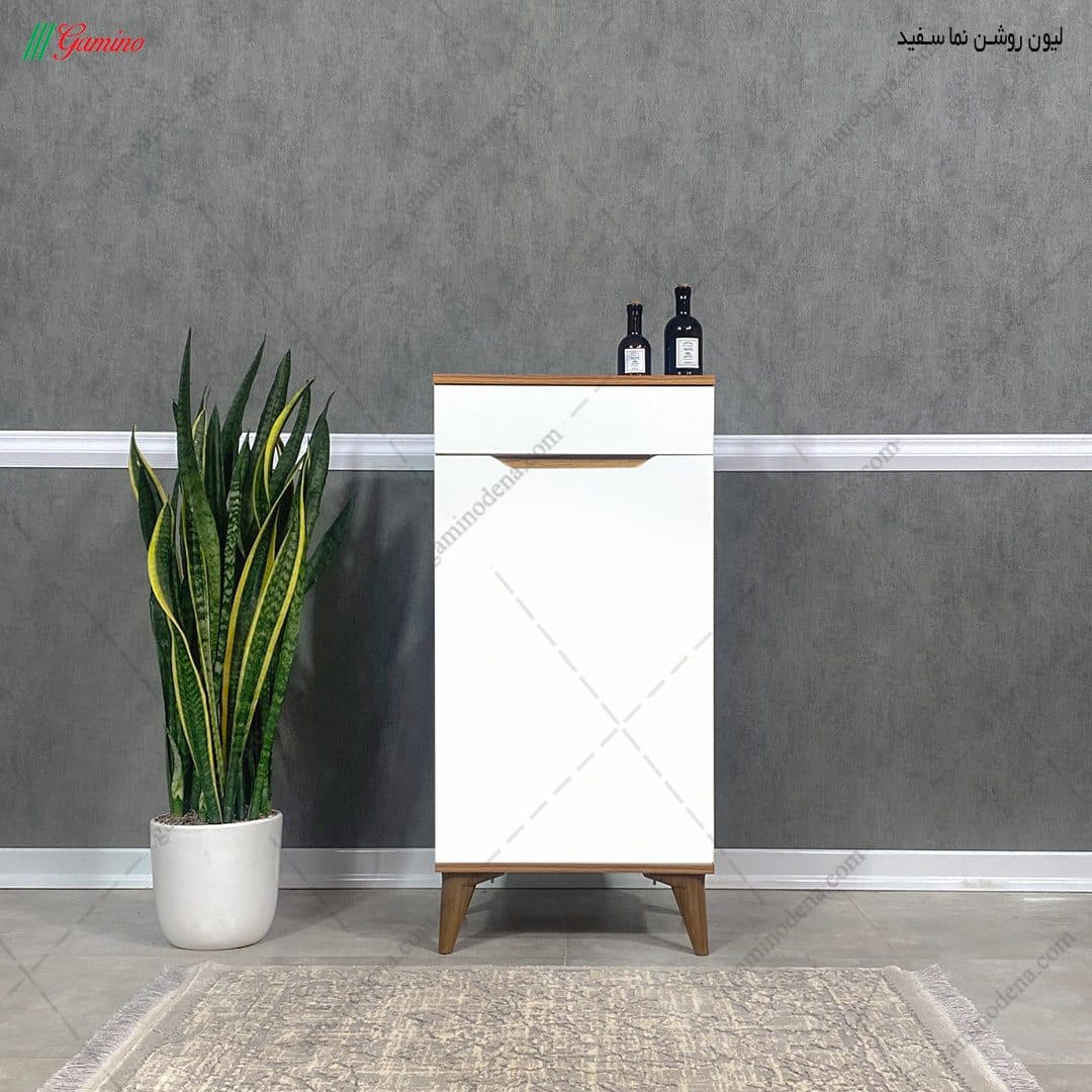 جاکفشی مدرن آپارتمانی ونیز ۵۰