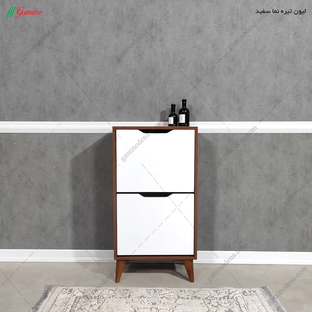 جاکفشی آپارتمانی داشبوردی دو درب آلوا ایستاده