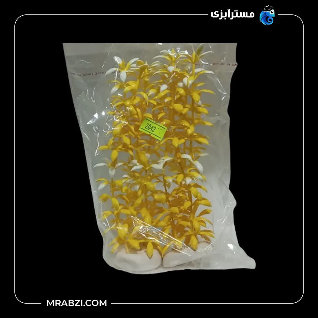 گیاه تزیینی آکواریوم مدل سودا