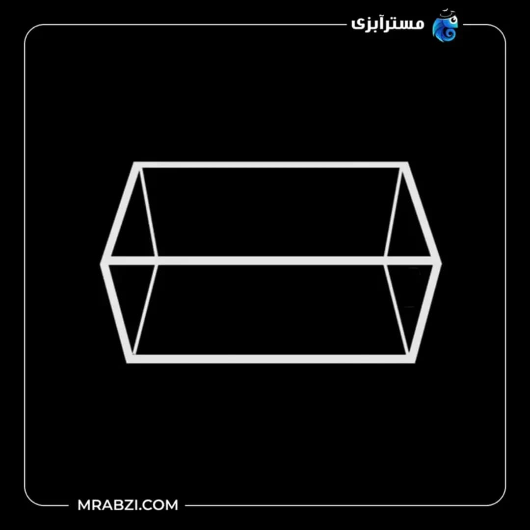 آکواریوم ریملس آکوا شیشه فلوت 10 میل (50*40*40) — تصویر ۵