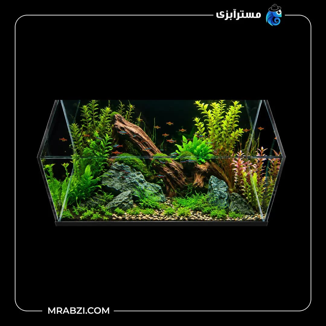 آکواریوم ریملس آکوا شیشه فلوت 10 میل (50*40*40)