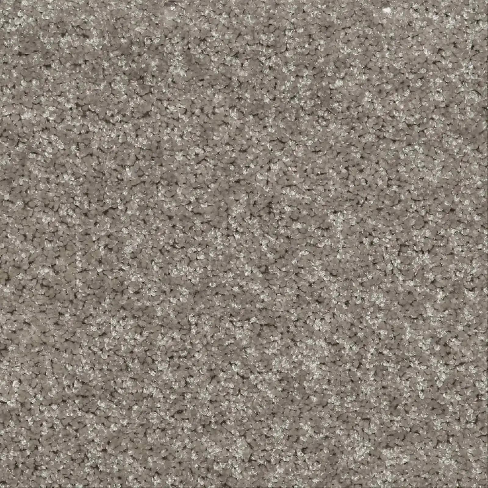موکت پالاز مدل کات بی cut b — تصویر ۵