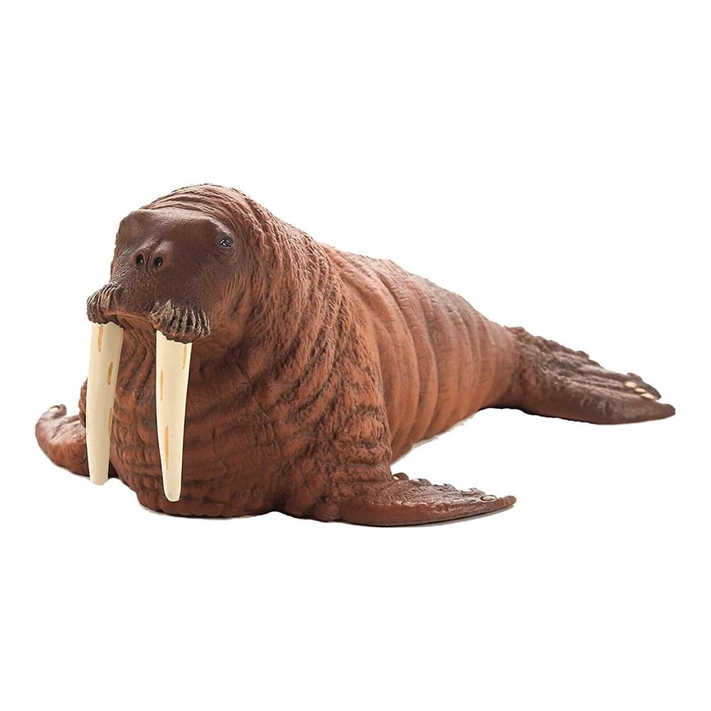 فیگور گراز دریایی کد: MOJO walrus 387209
