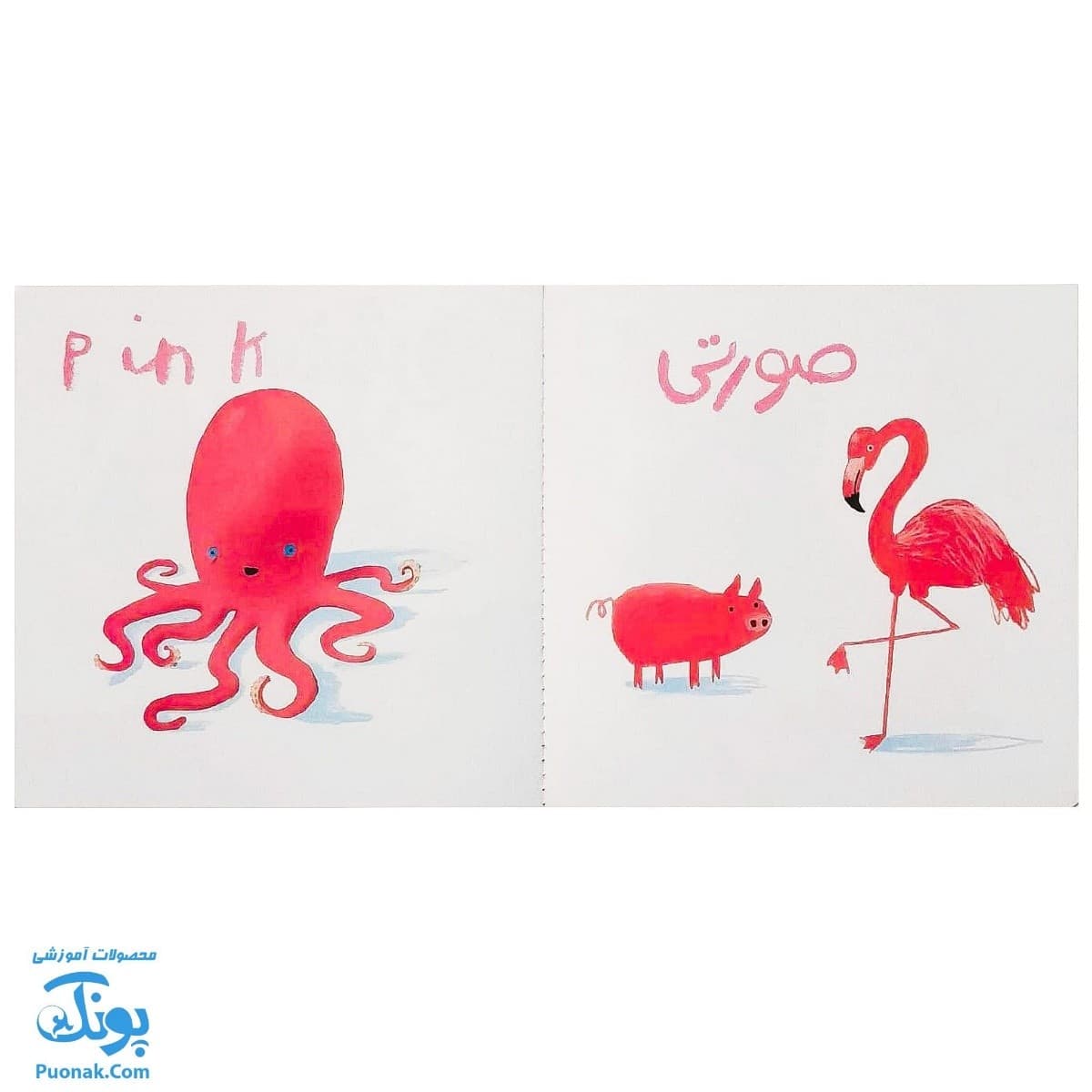 کتاب ما این جا زندگی می کنیم رنگ ها سری من یاد می گیرم — تصویر ۵
