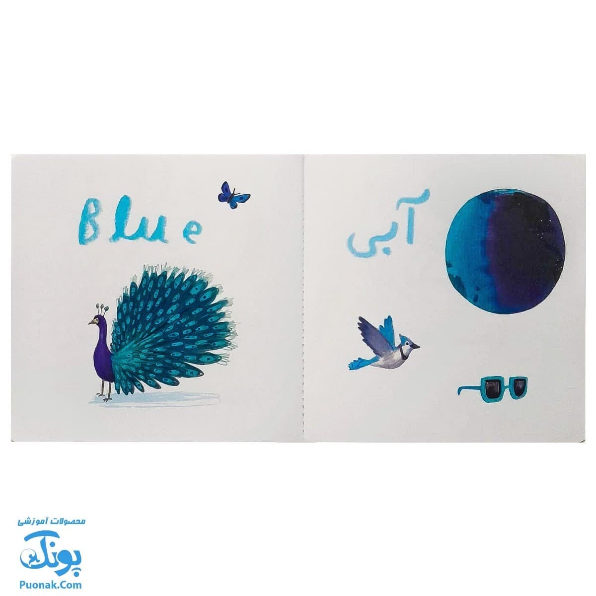 کتاب ما این جا زندگی می کنیم رنگ ها سری من یاد می گیرم — تصویر ۲