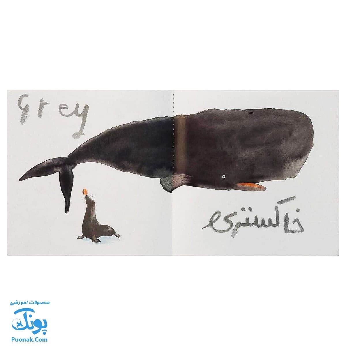 کتاب ما این جا زندگی می کنیم رنگ ها سری من یاد می گیرم — تصویر ۸
