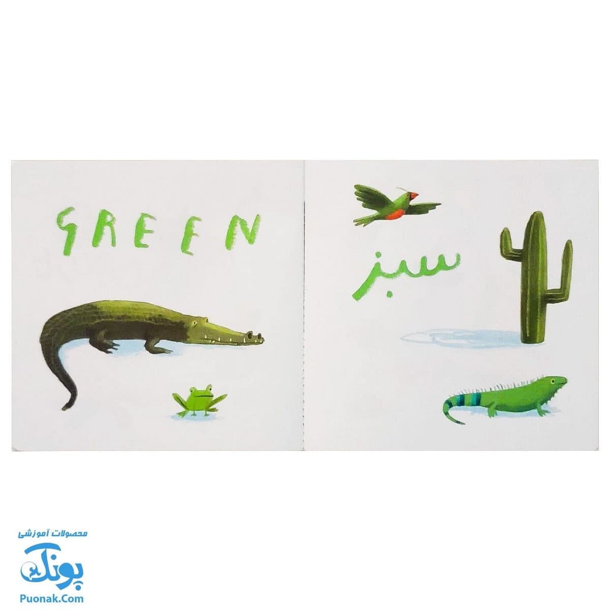 کتاب ما این جا زندگی می کنیم رنگ ها سری من یاد می گیرم — تصویر ۳