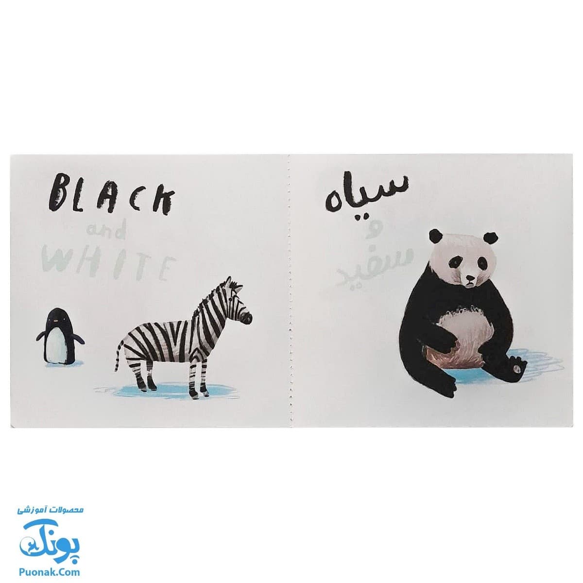 کتاب ما این جا زندگی می کنیم رنگ ها سری من یاد می گیرم — تصویر ۶