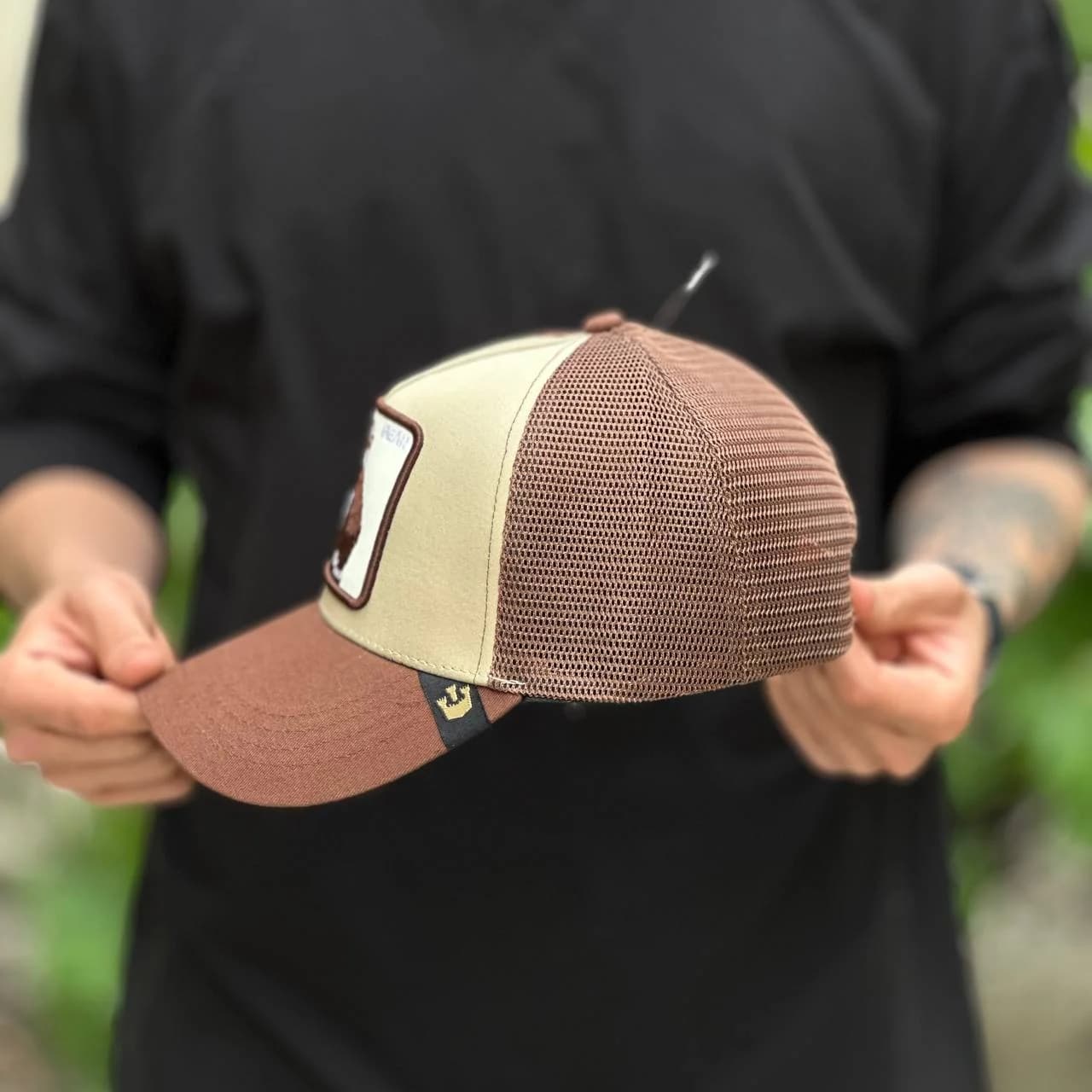 کلاه گورین bear — تصویر ۲