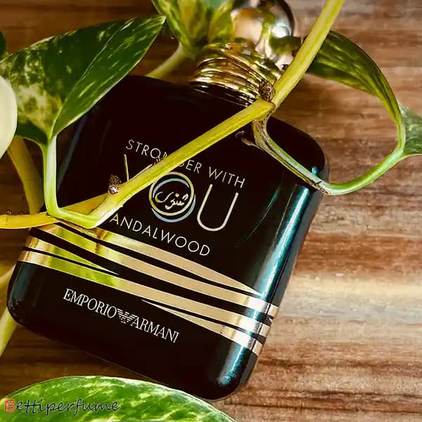 عطر ادکلن جورجیو آرمانی استرانگر ویت یو صندل وود | Giorgio Armani Stronger With You Sandalwood — تصویر ۲