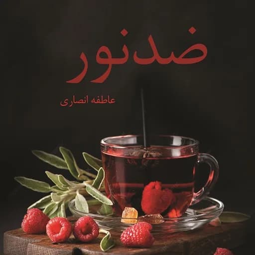 دانلود pdf رمان ضد نور اثر عاطفه انصاری