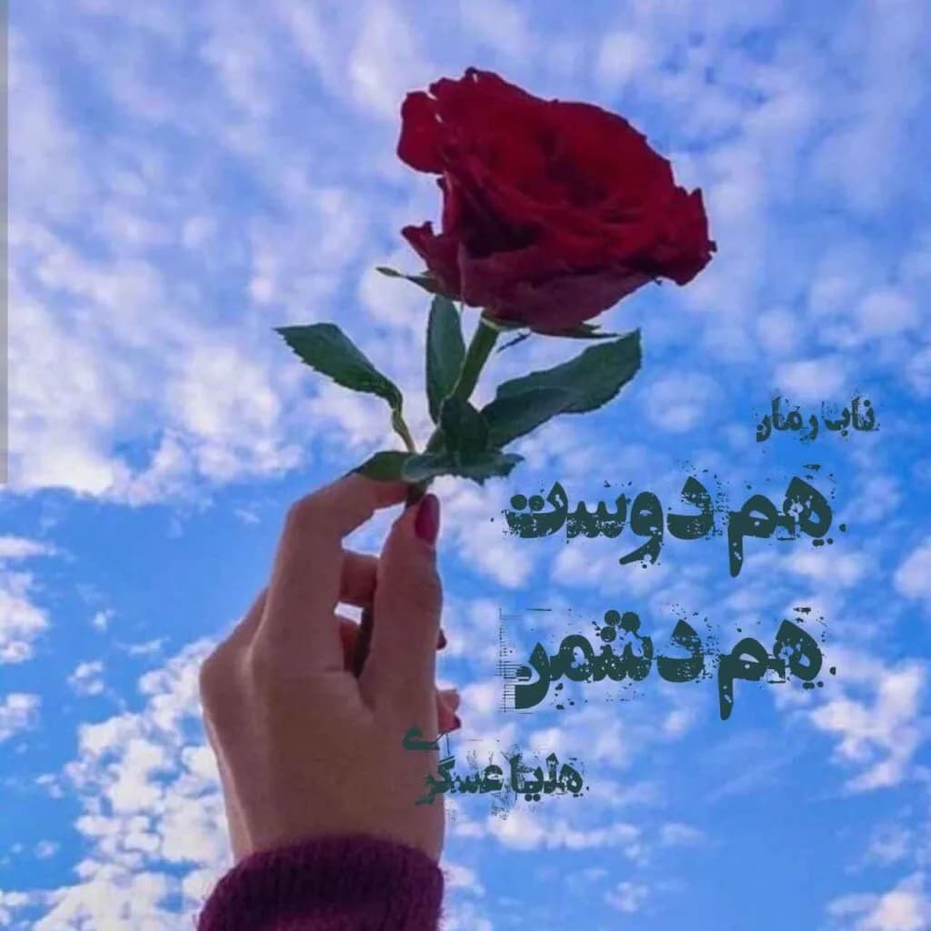 دانلود pdf رمان هم دوست هم دشمن