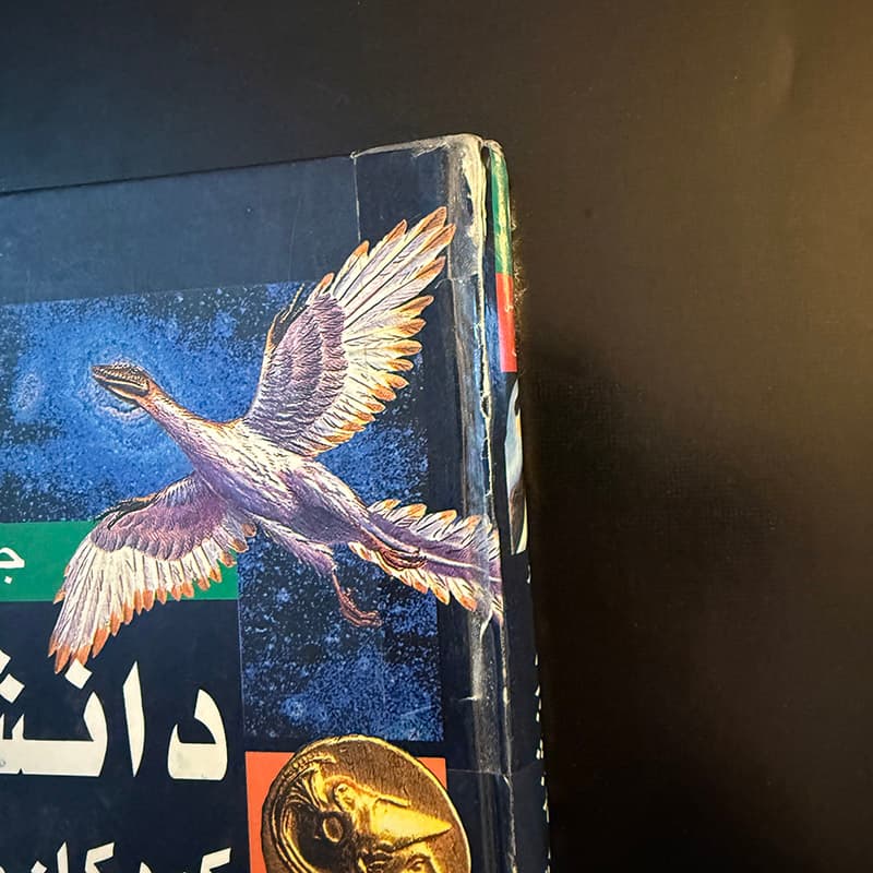 کتاب دانشنامه کودکان و نوجوانان آکسفورد نشر نی ۲ جلدی (دست دوم) — تصویر ۴