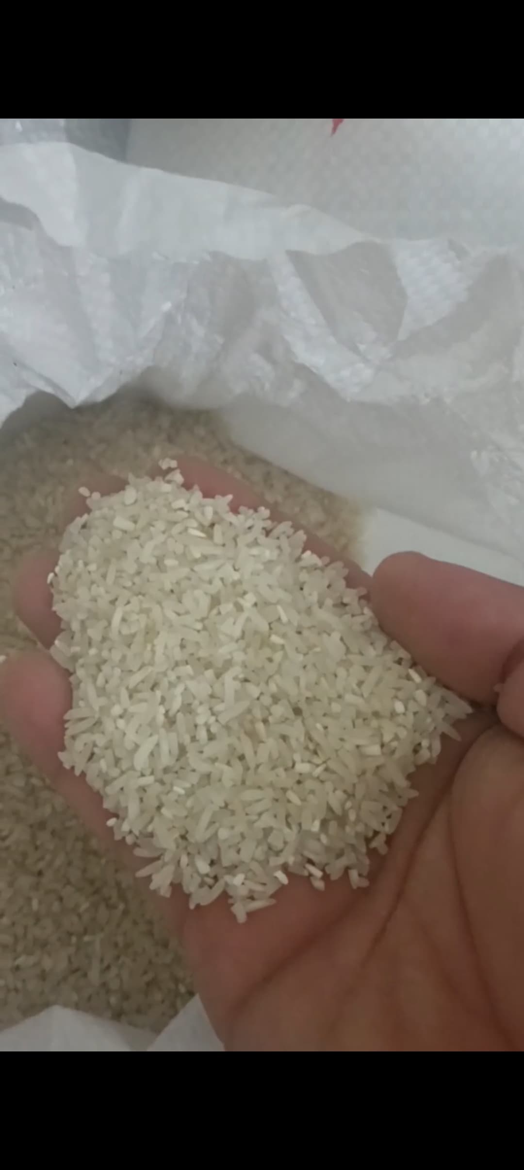 کیسه ۱۰ کیلویی برنج سرلاشه فجر شمال