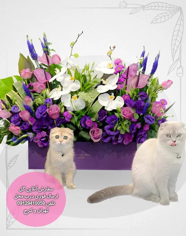 باکس گل کد 0008