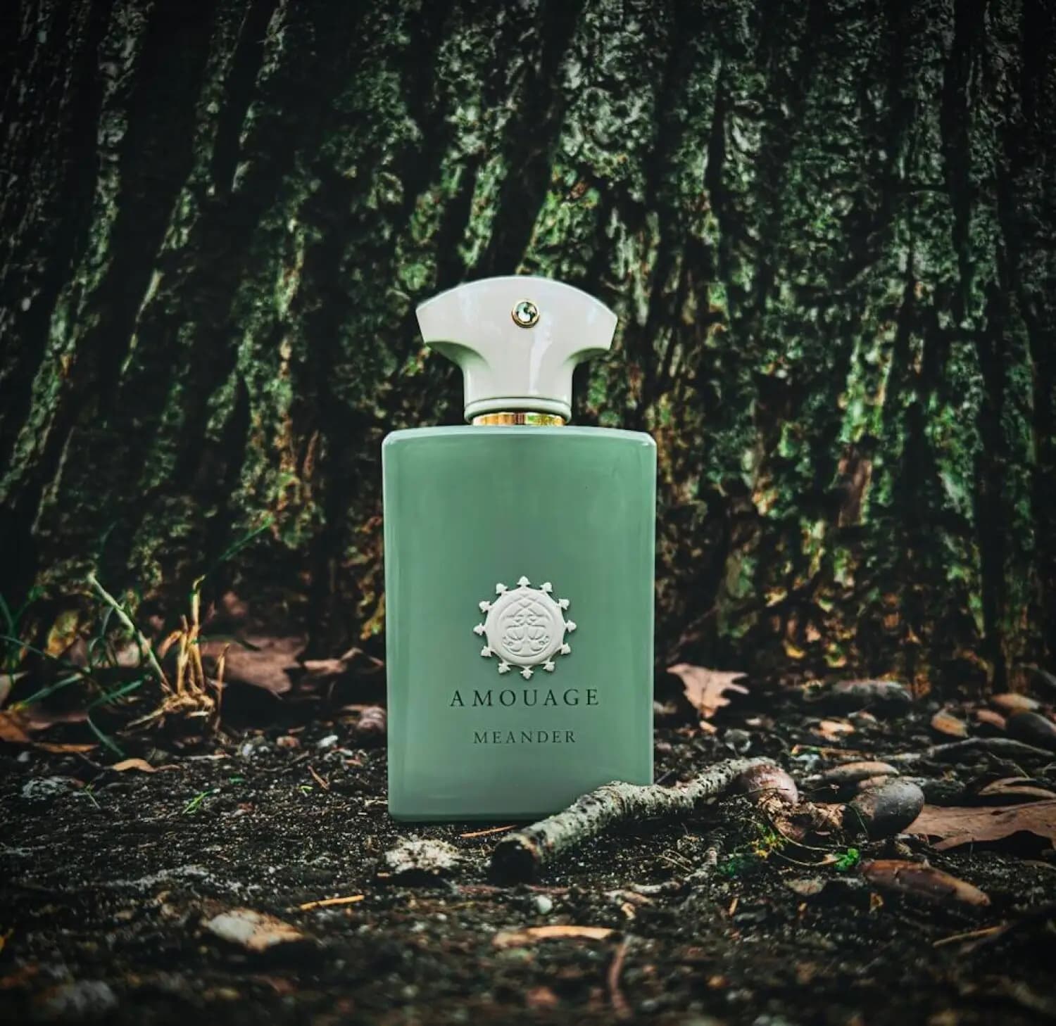 عطر ادکلن آمواج میندر اصل – Amouage Meander — تصویر ۶