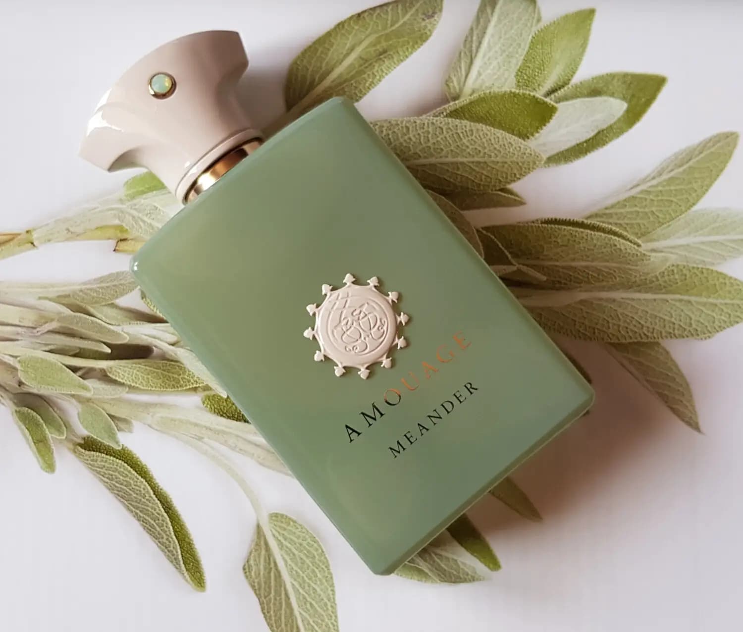 عطر ادکلن آمواج میندر اصل – Amouage Meander — تصویر ۷