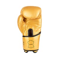 دستکش بوکس Fairtex — تصویر ۶