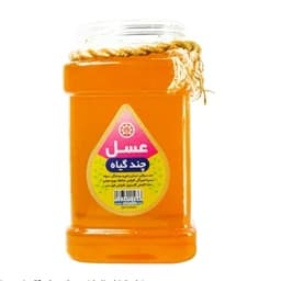 عسل تغذیه 1 کیلویی (سبک زندگی اسلامی شیعی) — تصویر ۲
