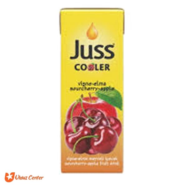نوشیدنی پاکتی Juss Cooler با طعم سیب و گیلاس 200 میل