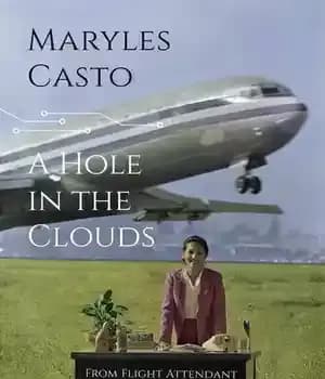 دانلود کتاب A Hole in the Clouds: From Flight Attendant to Silicon Valley CEO – حفره ای در ابرها: از…