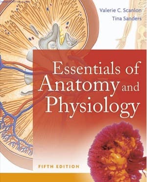 دانلود کتاب Essentials of Anatomy and Physiology