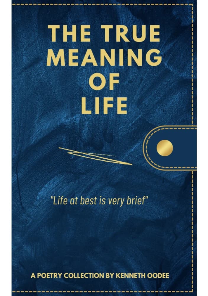 کتاب معنای واقعی زندگی (The True Meaning of Life) نسخه انگلیسی PDF