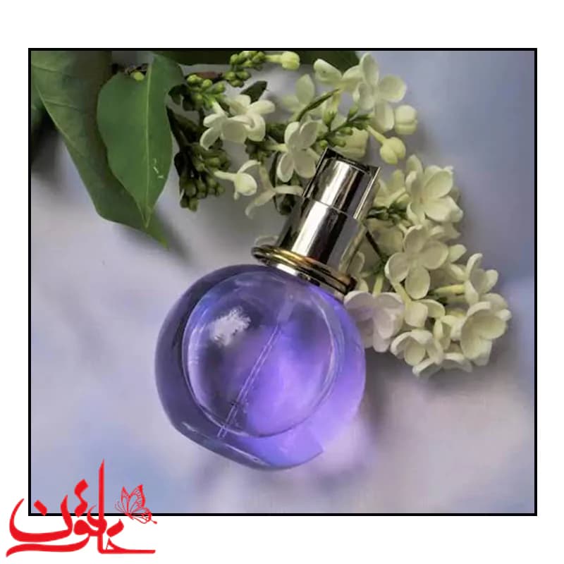 عطر مینیاتوری زنانه اکلت — تصویر ۳