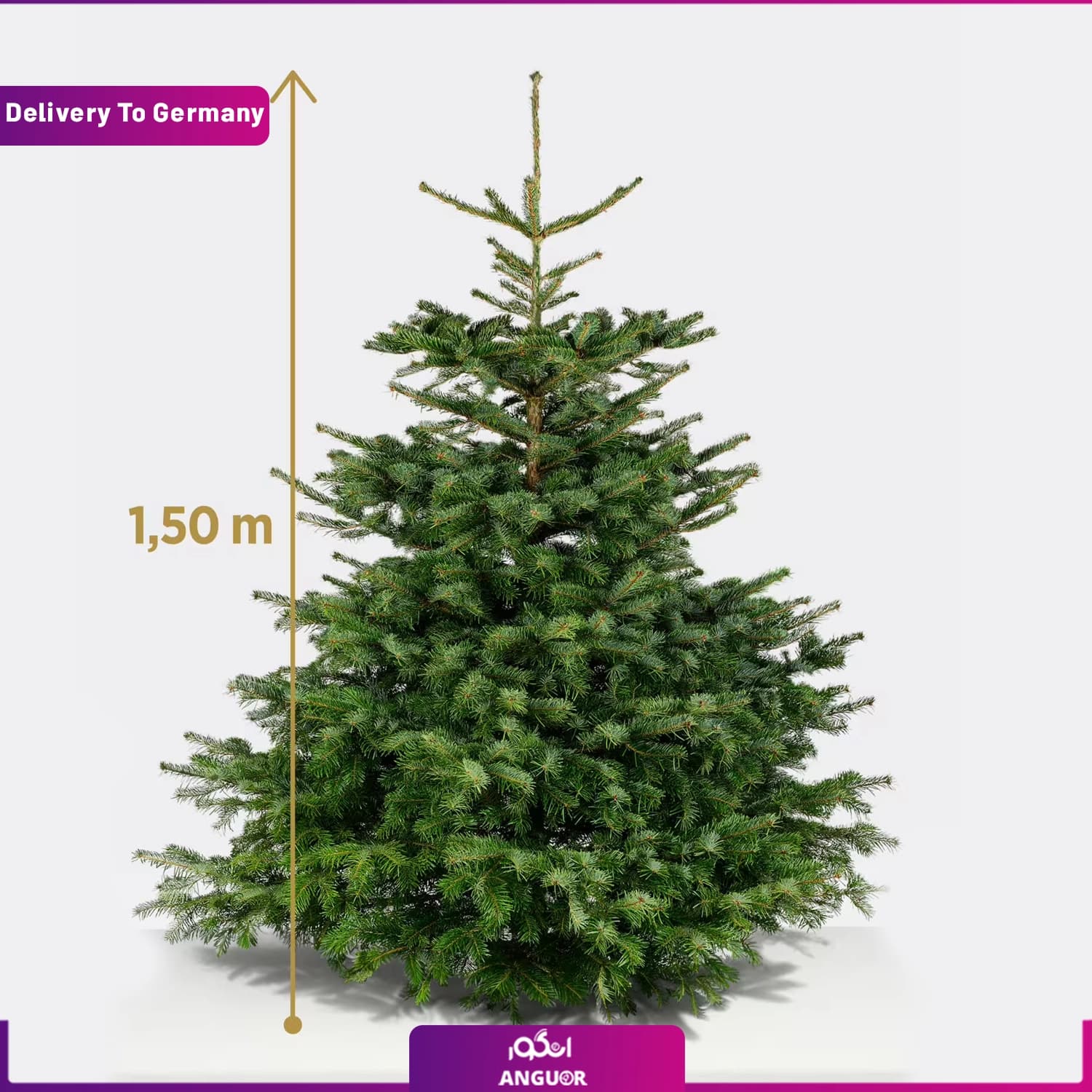 درخت کریسمس 150 سانتی (تحویل در آلمان)