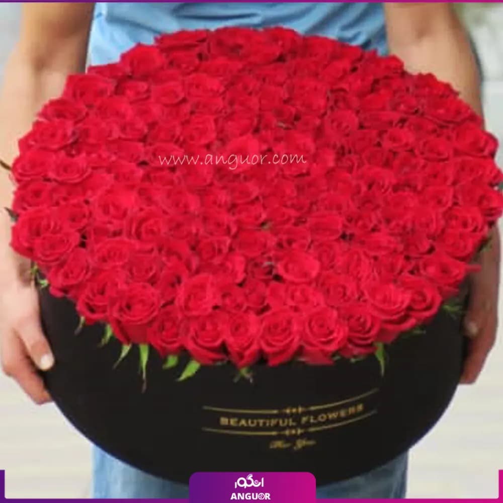 باکس گل رز جانان (200 شاخه رز قرمز هلندی)