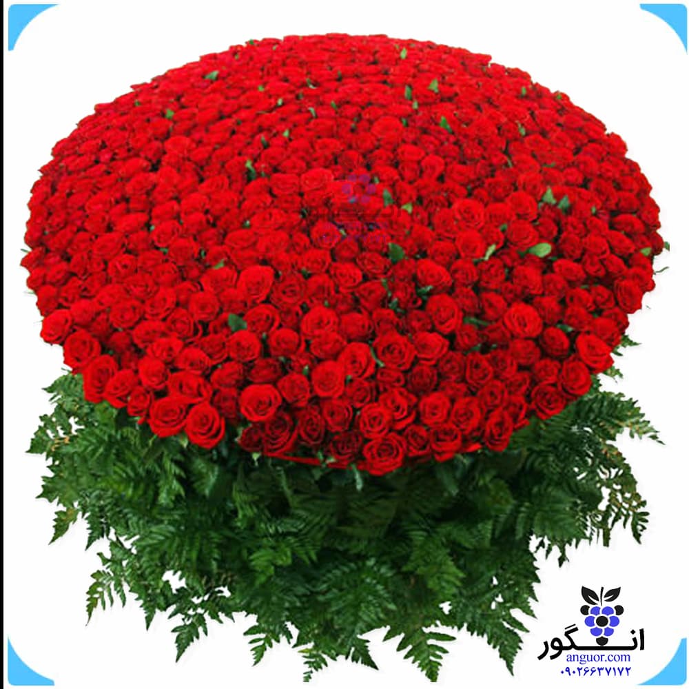 دسته گل بزرگ و لاکچری رز قرمز 1000 شاخه