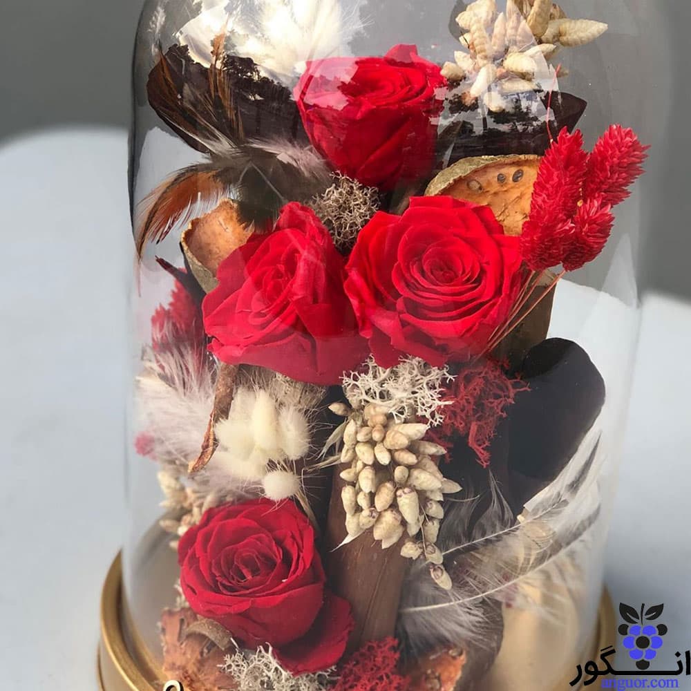 باکس شیشه ای گل رز جاودان — تصویر ۲
