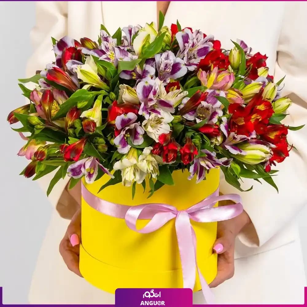 باکس گل آلسترومریا تم رنگی (34 شاخه)