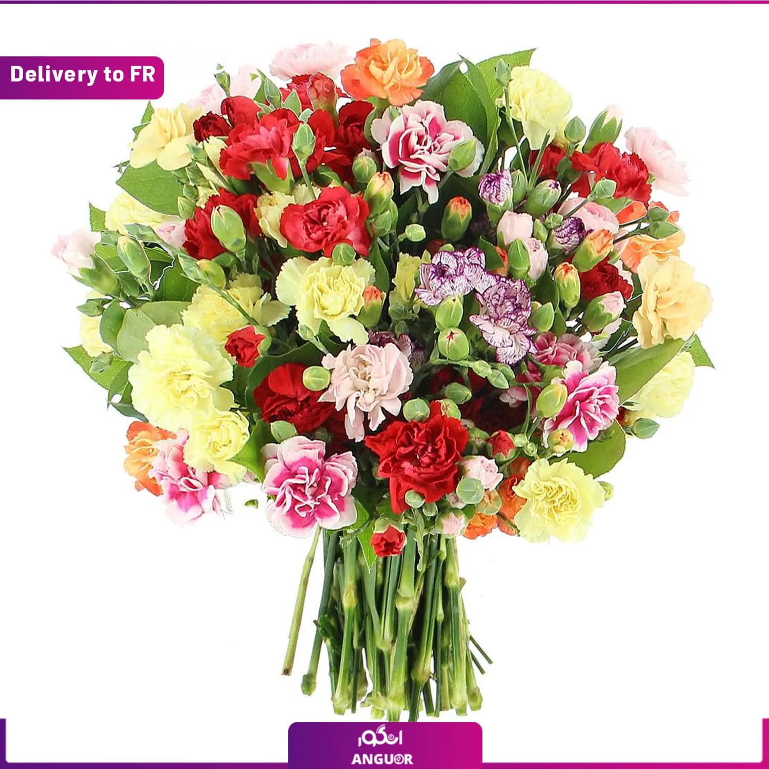 Bouquet of Multicolors Carnations (Delivery to France)