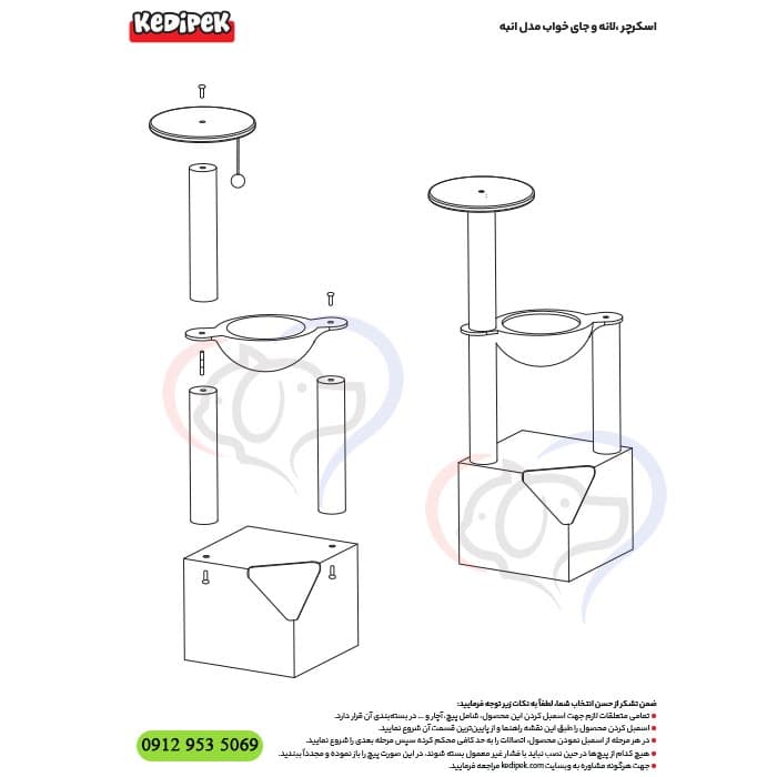 درخت گربه مدل انبه کدیپک + تحویل فوری — تصویر ۲