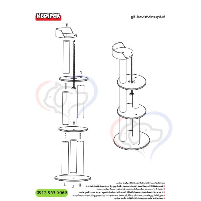 درخت گربه کاج کدیپک + تحویل فوری — تصویر ۲
