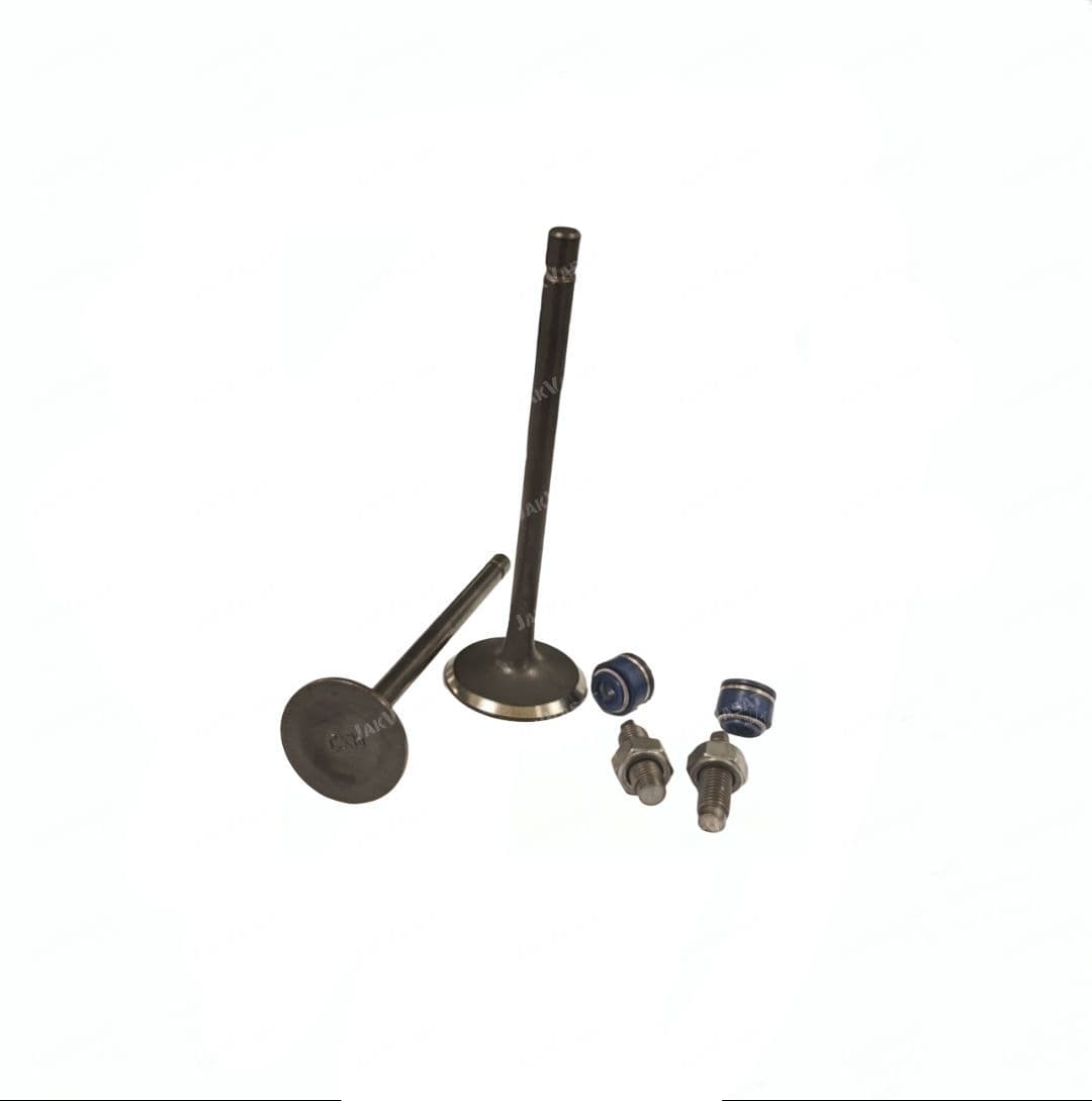 سوپاپ 125 با دو عدد لاستیک گیت و پیچ تنظیم سوپاپ با کد فنی (E-16-001) (کوکما)