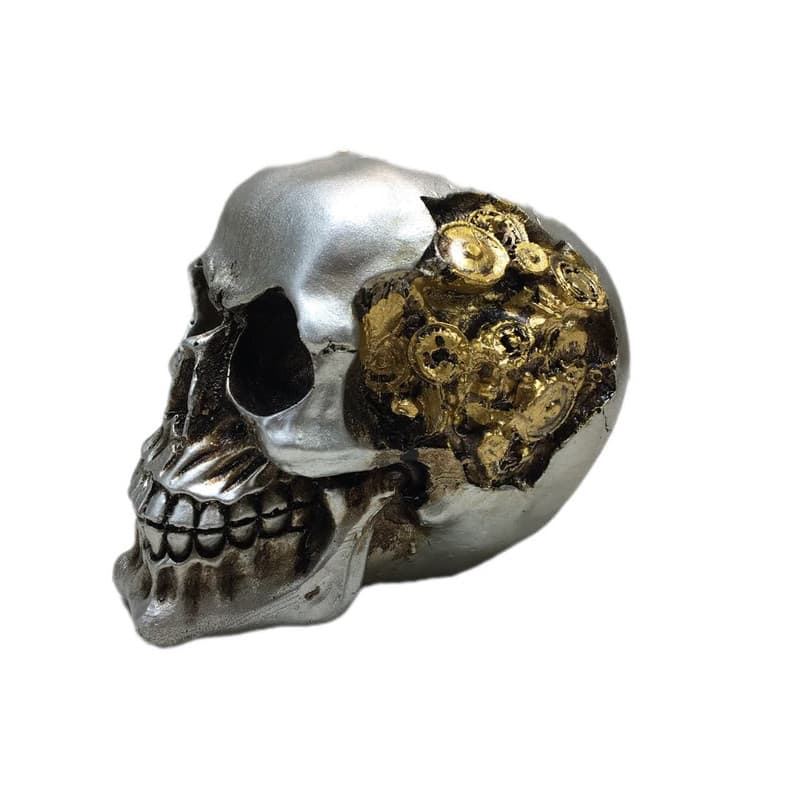 مجسمه مدل اسکلت سر مدل چرخ دنده دار — تصویر ۲