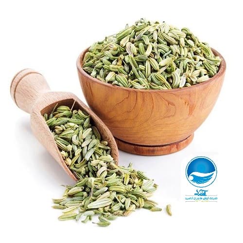رازیانه آنید حجم 60 گرم — تصویر ۲