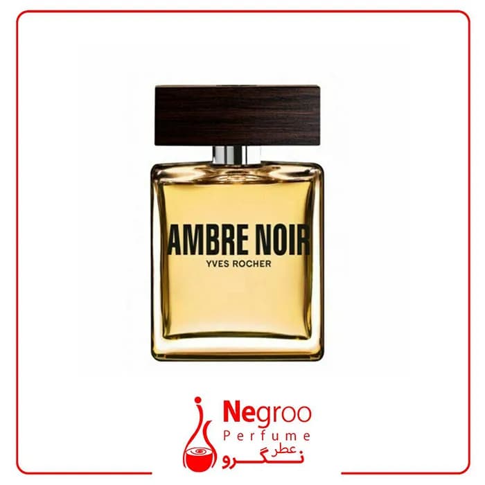 عطر ادکلن ایو روشه امبر نویر 100 میل Yves Rocher Ambre Noir اورجینال — تصویر ۲