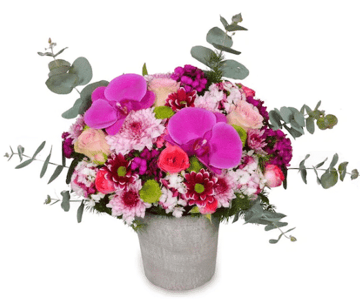 ارکیده مولیز(ترکیه)