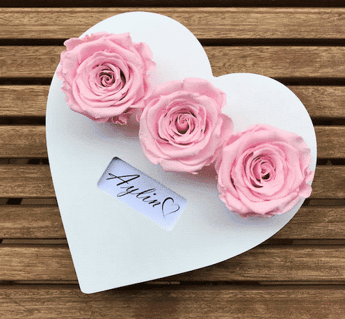 3 رز صورتی محو نشده در یک قلب چوبی سفید شخصی شده(ترکیه)