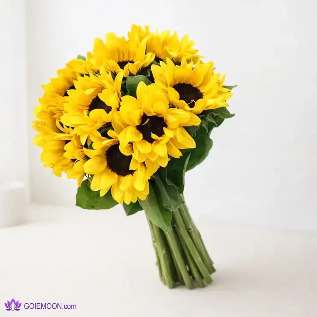 دسته گل 11 شاخه