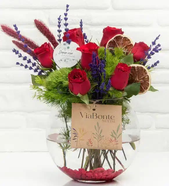 عاشقانه ViaBonte-Rosebud(ترکیه)