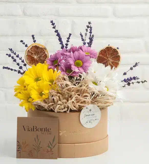 ViaBonte-First Love Spring(ترکیه)
