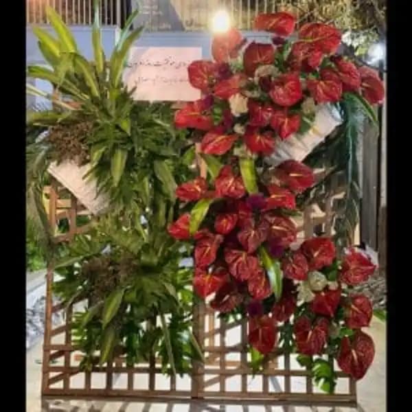 تاج گل باربارا — تصویر ۲