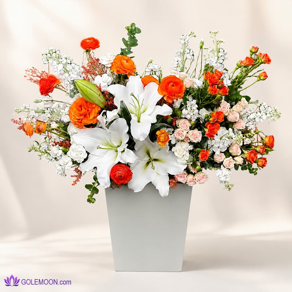 باکس گل رغمان