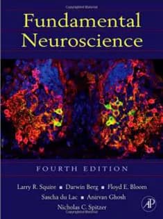 دانلود کتاب Fundamental Neuroscience